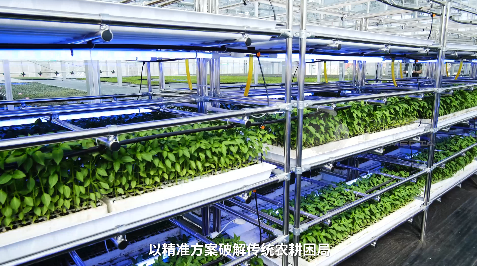 万豪集团企业宣传片
